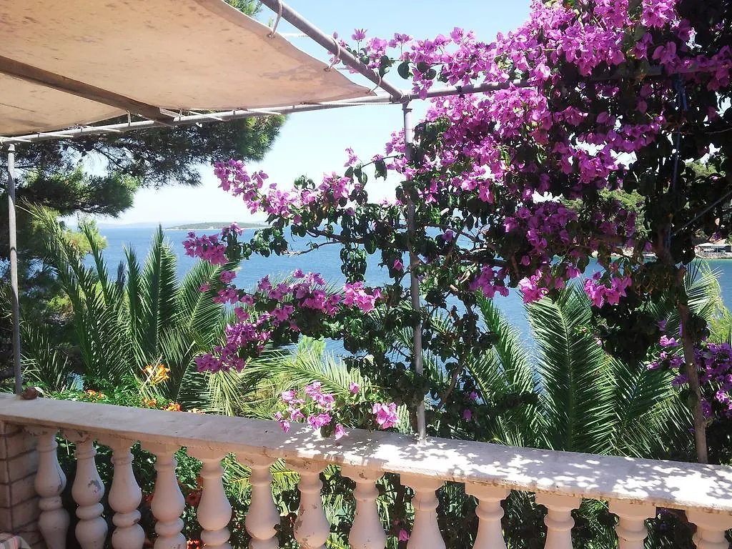 Apartment Viktor Sali Croazia