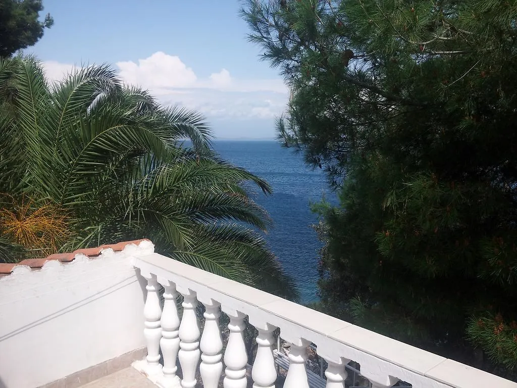 Apartment Viktor Sali 0*,  Croazia